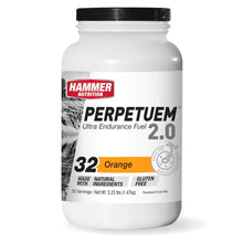Load image into Gallery viewer, Hammer Nutrition Perpetuem Ultra Endurance Fuel 2.0
